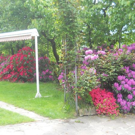 Borgo Valsugana Albergo Negritella المظهر الخارجي الصورة